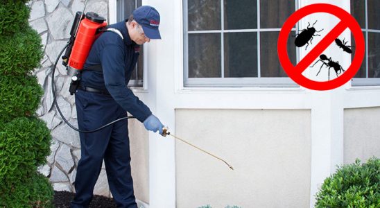 Gazipaşa Böcek ve Haşere İlaçlama böcek ilaçlama ve haşere kontrolü — ilaclama-tr.com
